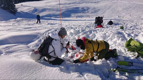 cours sauvetage avalanche suisse